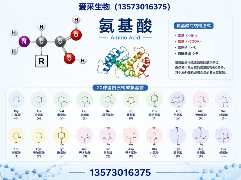 定陶区山东爱采生物科技有限公司展示图